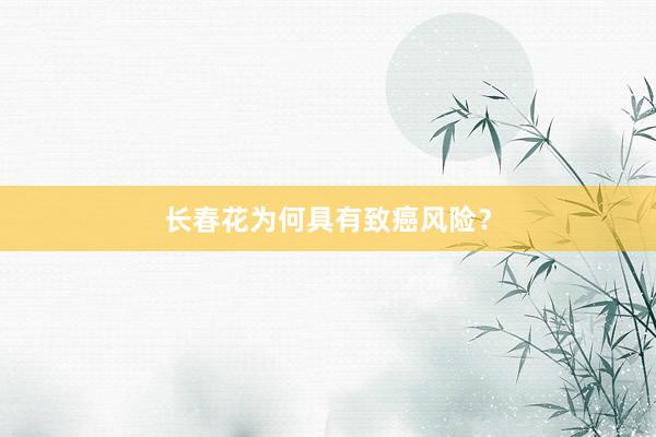 长春花为何具有致癌风险？