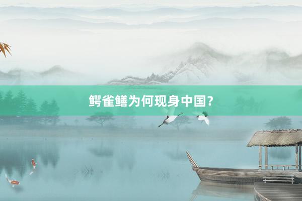 鳄雀鳝为何现身中国？