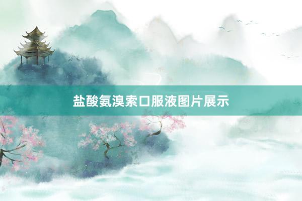 盐酸氨溴索口服液图片展示