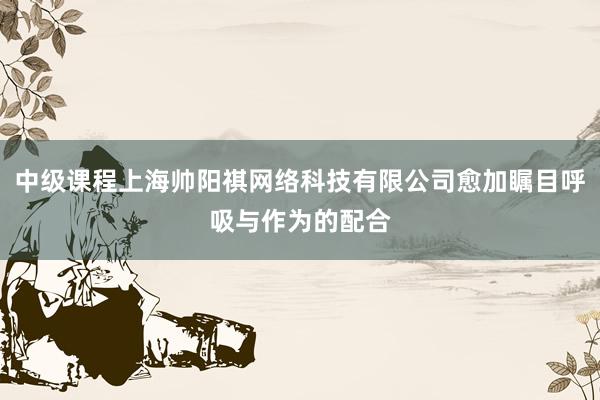 中级课程上海帅阳祺网络科技有限公司愈加瞩目呼吸与作为的配合