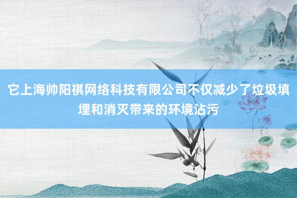 它上海帅阳祺网络科技有限公司不仅减少了垃圾填埋和消灭带来的环境沾污