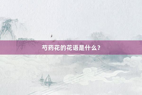 芍药花的花语是什么？